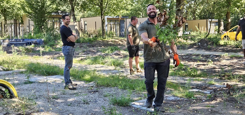 Grote stukken onkruid verwijderd